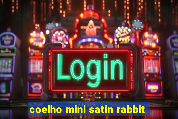 coelho mini satin rabbit